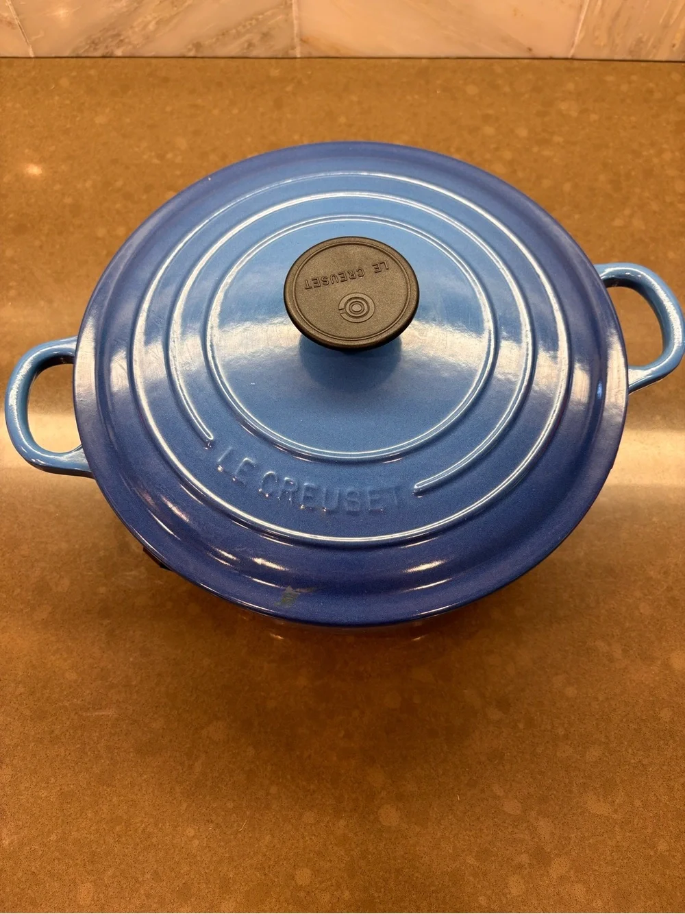 Le Creuset Blue Round Enameled Cast Iron Dutch Oven with Lid